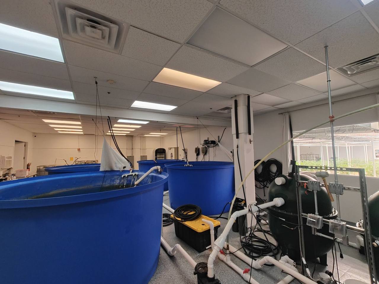 Large-scale aquaponics facility