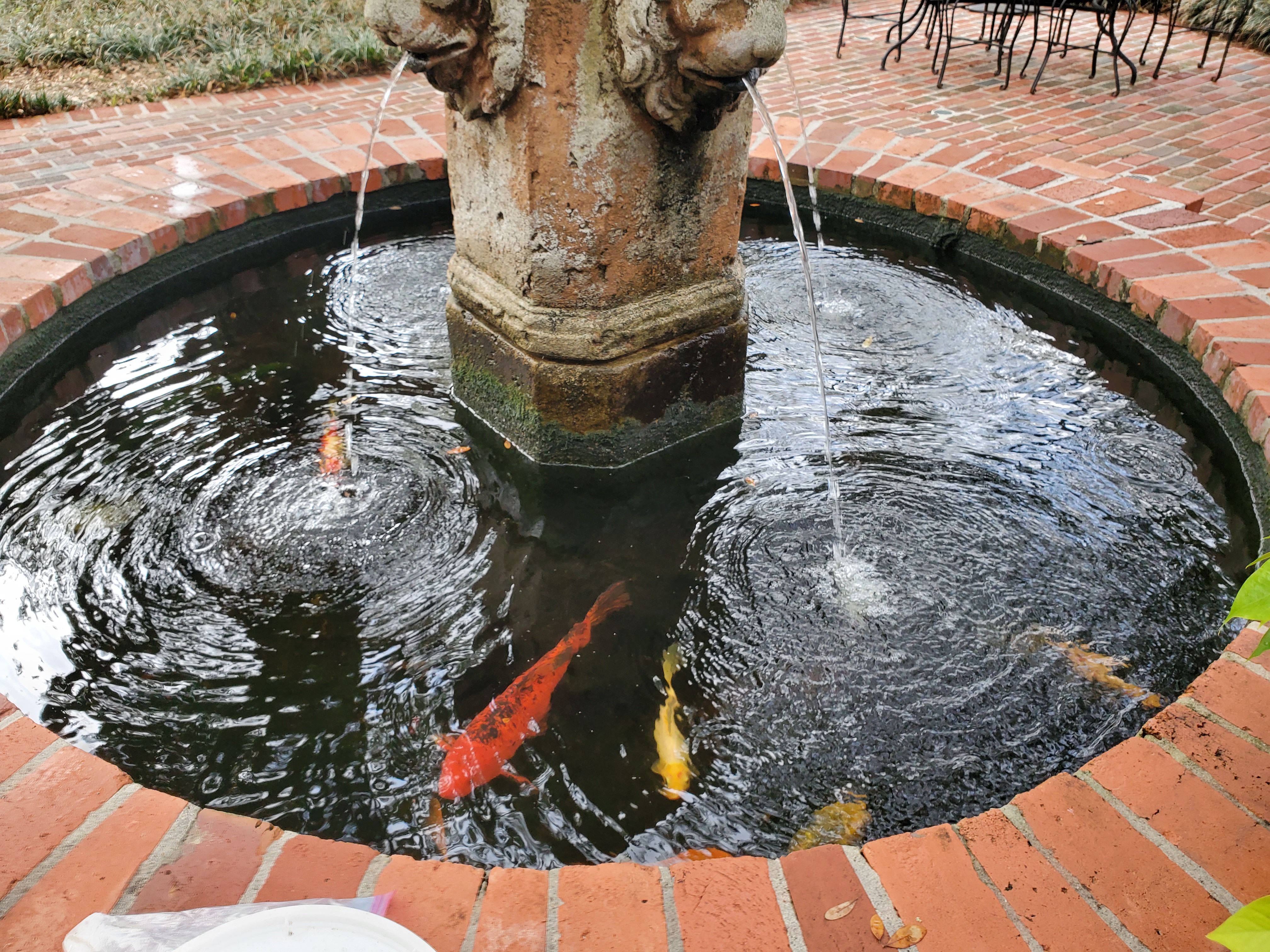 Round brick fountain with koi fish
