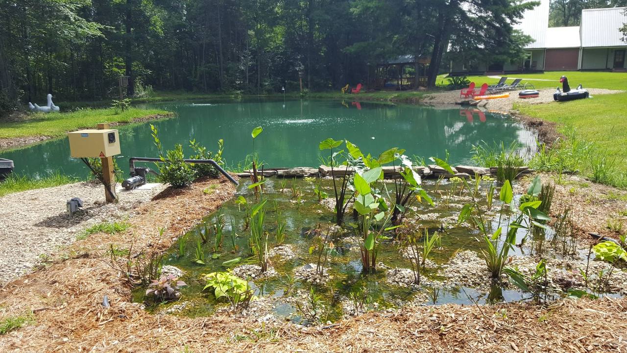 Large natural pond with dock