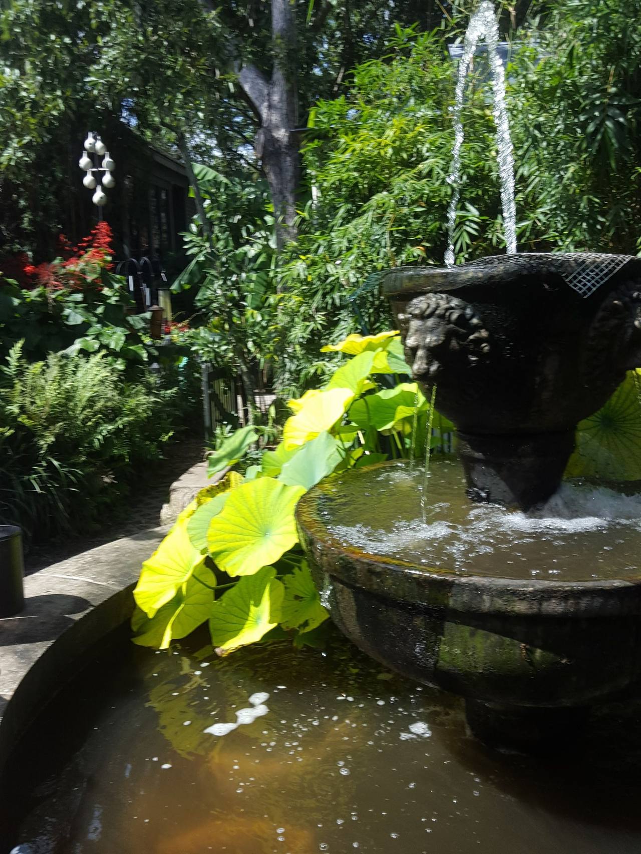 Fountain detail with lion face