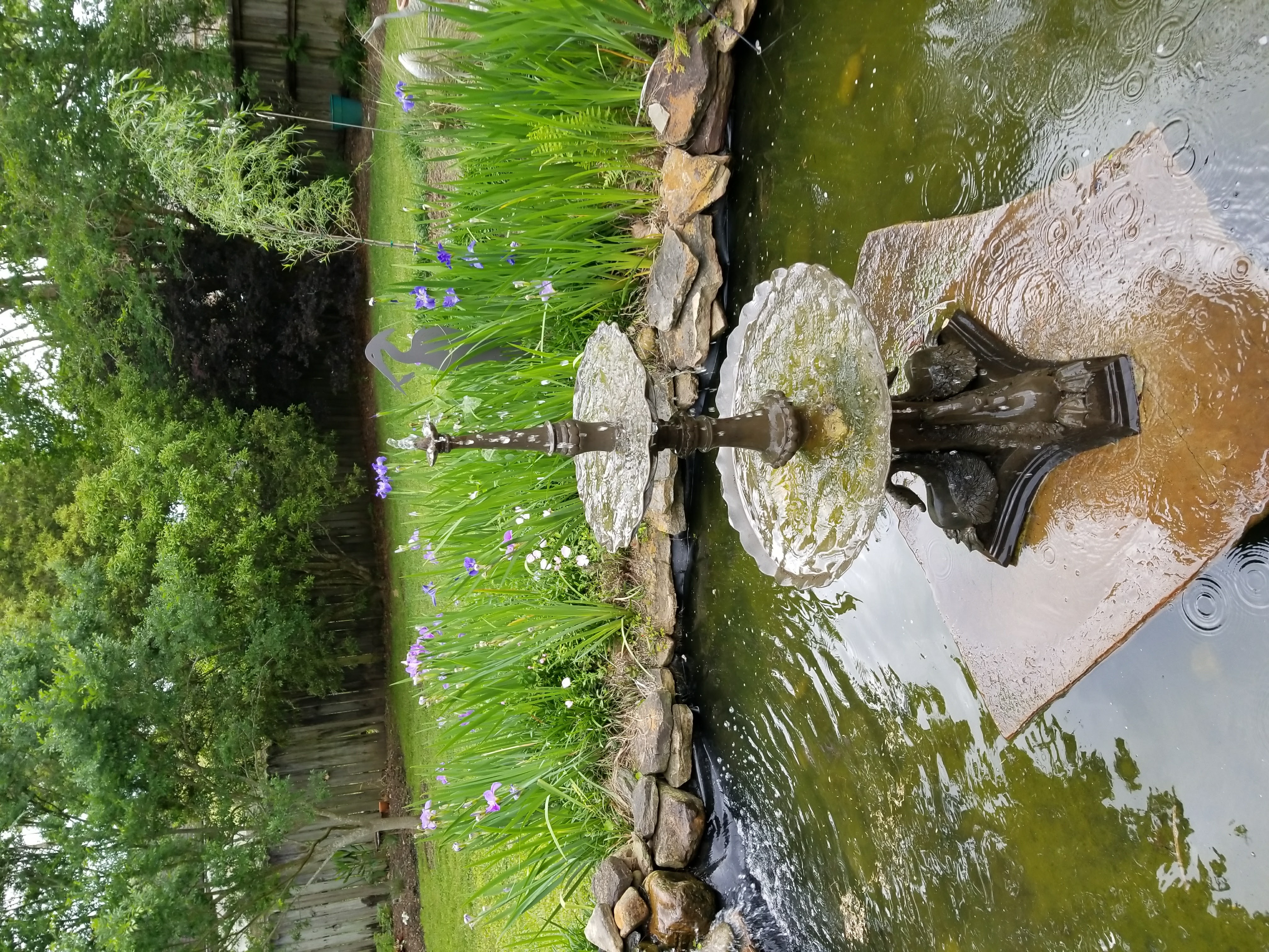 Two-tier fountain in a pond with irises
